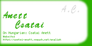 anett csatai business card